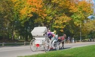 170年近い歴史に幕　NYセントラルパーク名物の観光馬車を2028年に廃止へ　死亡事故きっかけに廃止論高まる