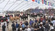 「和牛オリンピック」３連覇へ　鹿児島の挑戦　「結果が出るまで食事も喉を通らない」