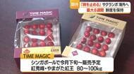 「時を止めたサクランボ」販売へ…5年かけ長期保存に成功・海外への販路拡大へ　山形