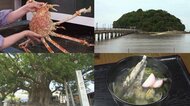行くだけで御利益…島全体が境内の「竹島」や名物「ガマゴリうどん」三河湾に面した海の町・愛知県蒲郡市を満喫