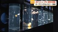 加茂水族館のクラゲ展示数100種類に拡大　1日午前9時リニューアルオープン　山形・鶴岡市