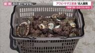 「家族で食べる分くらいならいいだろう」安易な動機大半…アワビ・サザエ密漁で18人検挙　山形