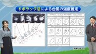 台風の中心気圧、実は誰も測っていない？気象衛星を使った「ドボラック法」の仕組みを気象予報士が解説　「雲の形」から読み解く秘密に迫る