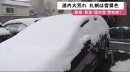 「ようやく降ってきた」札幌今シーズン初の