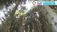 50年先を見据え 町ぐるみで ”持続可能な林業” SDGs<岩手・住田町>