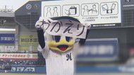 おかえり!球場にプロ野球ファンが帰ってきた