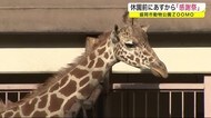休園前に「特別な感謝祭」 動物公園ZOOMO<岩手・盛岡市>