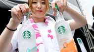 人気急上昇の「フェス」にあの街が名乗り?