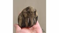 石から生まれた“アフリカゾウ”が形や質感までもリアル…道具が筆と絵の具だけって本当?作者に聞いた