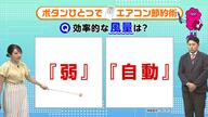 ボタンひとつで「エアコン節電術」　風量の「弱」「自動」　風向きの「下向き」「水平」どちらが効率良い？　気象予報士が解説