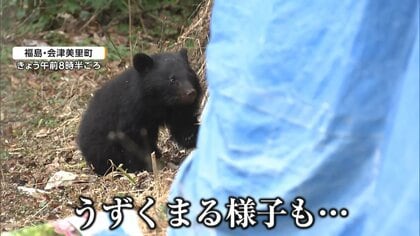 クマ出没　「やっぱり怖い」住宅の敷地内に“春クマ”出没　前日も同じ場所で目撃　午後に捕獲　福島