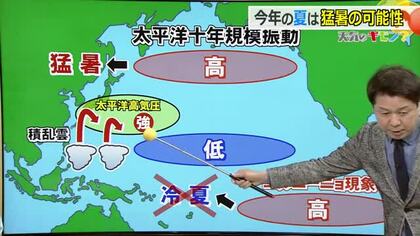 春も夏も高温…エルニーニョ現象でも猛暑に　気になるサクラの開花時期や天候の見通しを気象予報士が解説　福井
