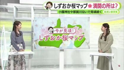 サクラ見頃！2日(木)はお花見日和【静岡・ただいま天気　4/1】