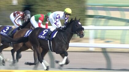 【フェブラリーS】11番人気・ペプチドナイルが抜け出し勝利「ダート新王者」に　3連単150万円超えの大波乱決着