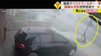 【世界各地で極端な天気】豪州で風速40m/s超暴風　米で強風、山火事拡大…東京と同面積分焼失　アラブでは”ビー玉”ひょう