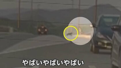 これが【クマが歩行者を襲う瞬間】「ヤバい､ヤバい」逃げる男性を追いかけるクマ　GW中も各地で出没のワケ