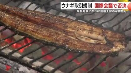 ウナギ取引規制　国際会議で否決　規制対象になれば価格上昇の可能性も　鹿児島は養殖日本一