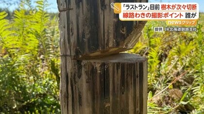線路脇の撮影スポットで樹木切断　列車撮るため何者かが伐採か　「安全運行に支障きたす」JR北海道が被害届を検討