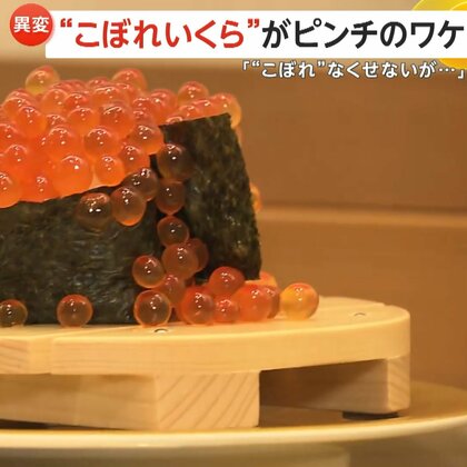 “こぼれいくら”が大ピンチ　北海道で“異変”…秋サケが歴史的な不漁に　サケの切り身が3切れ755円で前年比約100円アップ