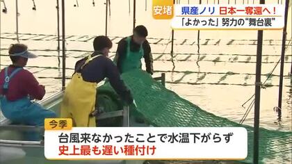 「この4年間、辛かった…」佐賀ノリが日本一奪還確実　生産者の努力の“舞台裏”【佐賀県】