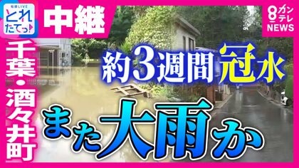 【中継】台風25号で“約3週間”冠水続いた千葉・酒々井町にまた大雨の恐れ　“盛り土”の崩落で排水機能が崩壊　“根本原因”解決しないまま排水ポンプ車で大雨警戒　台風30号から変化の温帯低気圧と前線の影響で関東～四国で警報級の大雨恐れ