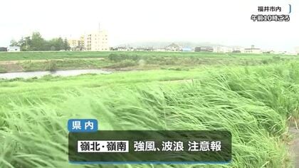 台風25号が関東に接近　福井は風速15メートルの強風域に入る　奥越をのぞく県内に強風・波浪注意報