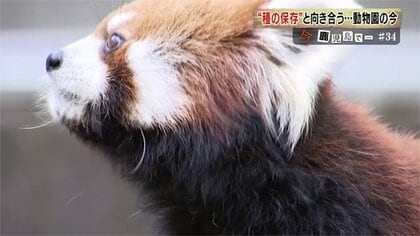 186種類いた動物が134種類に…“選択と集中”種を守るためあり方を模索