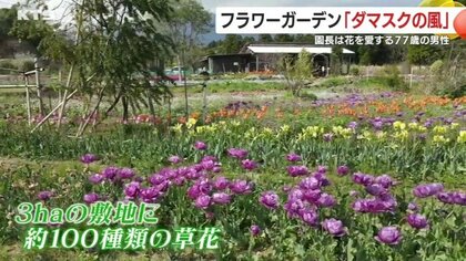 絶対に薬はかけない」 無農薬の園芸貫く園長が育てる花々で人々を癒や