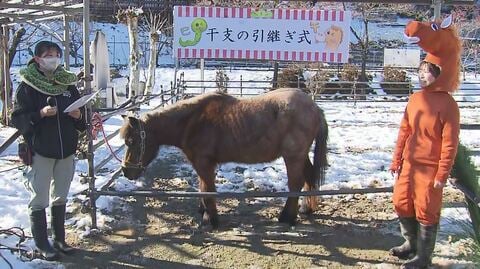  巳年から午年へ　動物園で干支の引継ぎ式　来年は「国内最高齢」38歳のおばあちゃんポニーに注目　
