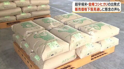 今年の米は品質良好なのに、農家は「価格下落」の不安　超早場米・金峰コシヒカリが出発式【鹿児島】