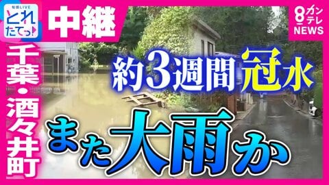 【中継】台風25号で“約3週間”冠水続いた千葉・酒々井町にまた大雨の恐れ　“盛り土”の崩落で排水機能が崩壊　“根本原因”解決しないまま排水ポンプ車で大雨警戒　台風30号から変化の温帯低気圧と前線の影響で関東～四国で警報級の大雨恐れ