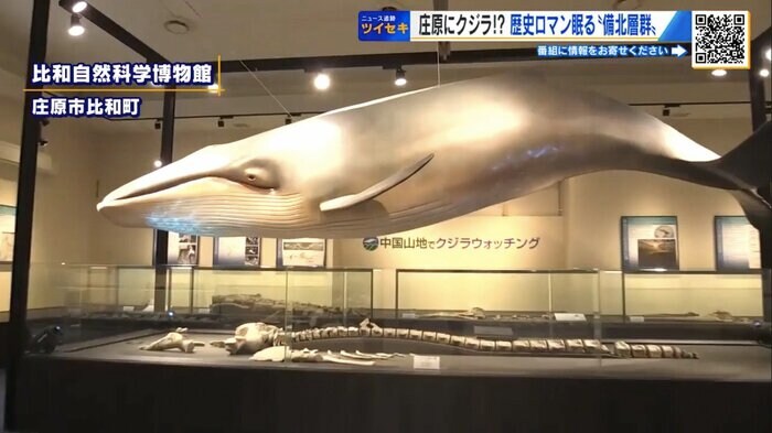 庄原市立比和自然科学博物館