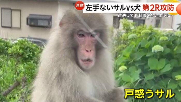 (FNN投稿サイト「ビデオPost」)
