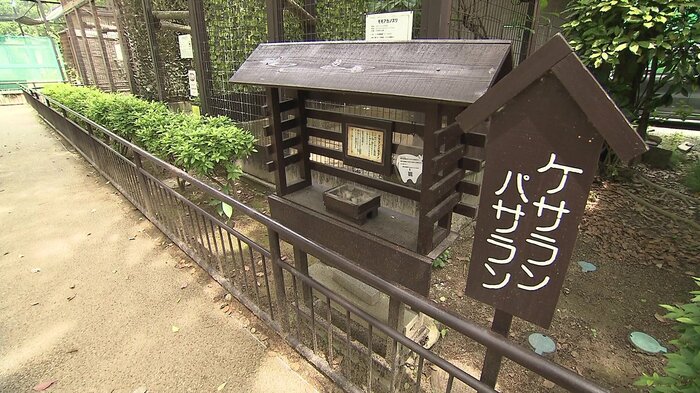 王子動物園に展示されている