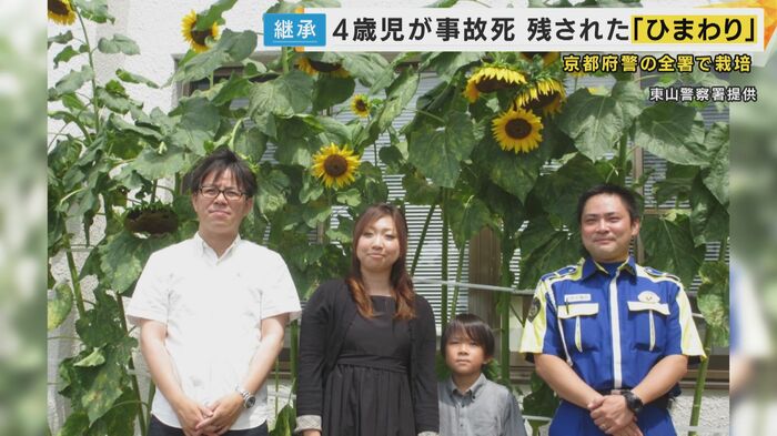 ひまわりにこめた願い