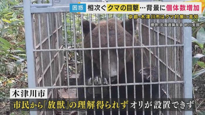 捕獲したクマは学習放獣が原則
