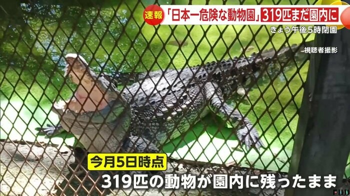 視聴者撮影