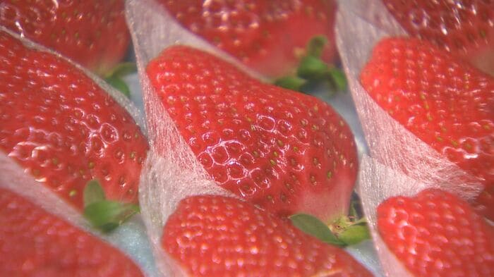 父の思いを受け継ぐ