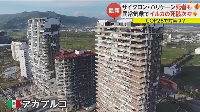 ハリケーンにより、マンションの壁は剥ぎ取られ無残な姿に…