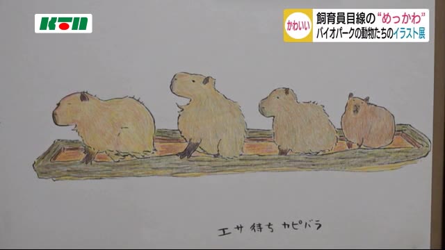 「めっかわどうぶつ脳内変換」バイオパークの動物を飼育員目線で