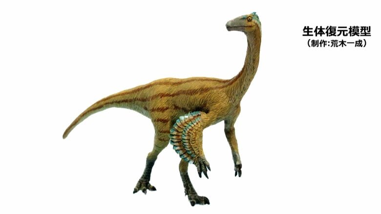 恐竜研究者もだまされた!? 新種の恐竜が福井で見つかる　学名は「福井産のティラノもどき」｜FNNプライムオンライン