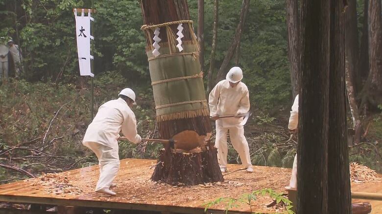 伊勢神宮祭主の黒田清子さんが見守る中…20年に1度の祭り「御杣始祭」　2033年の伊勢神宮の式年遷宮に向け、御用材となる木を伐り出す｜FNNプライムオンライン