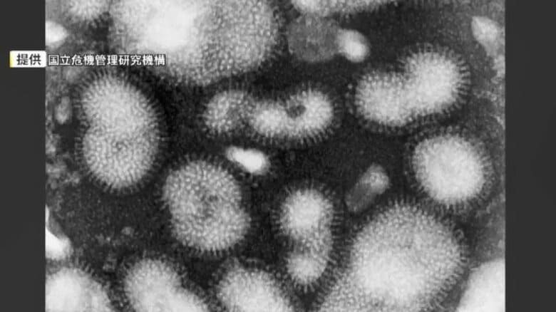 インフルエンザ「注意報レベル」続く　今後大きな流行が発生する可能性　手洗いや適切なマスク着用呼びかけ　福岡｜FNNプライムオンライン