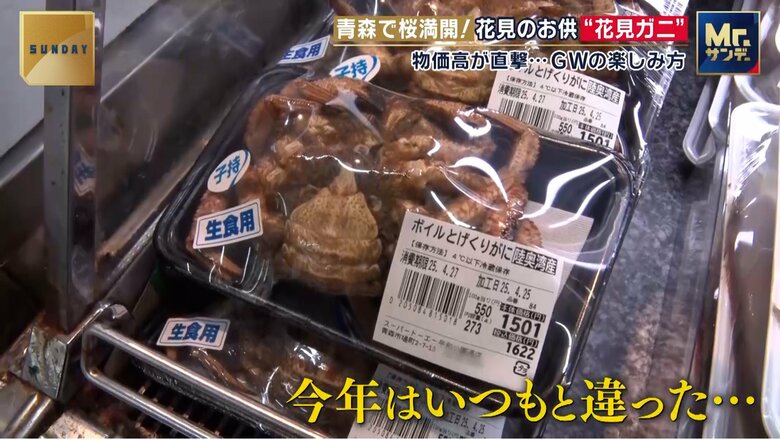 青森の“花見ガ二”にも物価高の影響…「巣ごもり」「海外旅行」楽しみ方いろいろ！時代を映すGW｜FNNプライムオンライン