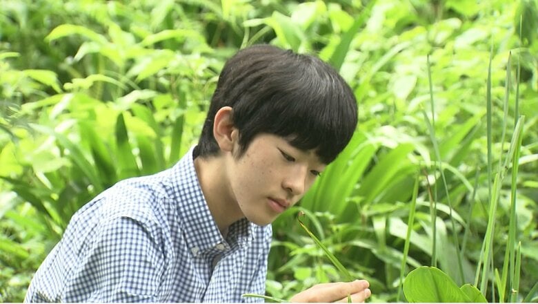 悠仁さま18歳で成年皇族に　初めて文書で感想寄せられ「自然誌」学べる大学への進学目指し「進路実現に向けて努力しつつ残り少ない高校生活を大切に」｜FNNプライムオンライン