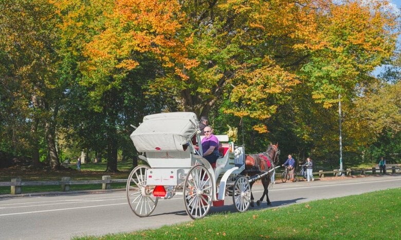 170年近い歴史に幕　NYセントラルパーク名物の観光馬車を2028年に廃止へ　死亡事故きっかけに廃止論高まる｜FNNプライムオンライン