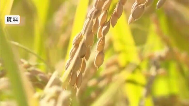 去年の価格高騰“米騒動”から一転 今年は在庫量が過去最高水準で5週連続の値下がり JAが米の需給安定を国に要請|FNNプライムオンライン
