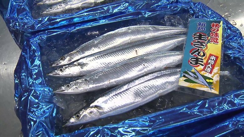 今年は“奇跡のサンマ”か　不漁続きの”秋の味覚”サンマがお手頃に　豊漁でサイズも大きく脂ものって…一方、猛暑で値上がりの魚も｜FNNプライムオンライン