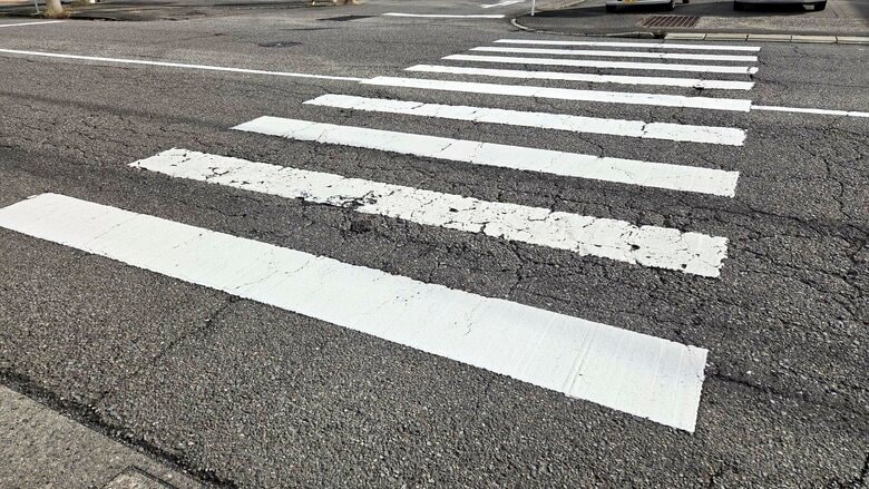 福井は半数以上が止まらない…横断歩道での一時停止率45.5％　全国平均を15.6ポイント下回る｜FNNプライムオンライン