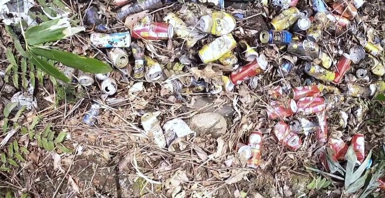 【独自】「アルミ缶の川のよう」山中に大量の“空き缶”廃棄　近隣住民が相談して発覚…市職員が1本ずつ手作業で回収　金沢市｜FNNプライムオンライン